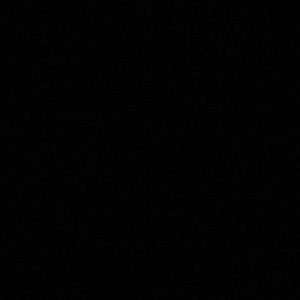 Meet your Posher, Brady